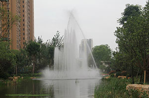 IMG_0416